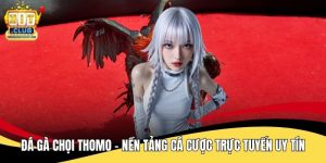 Đá Gà Chọi Thomo