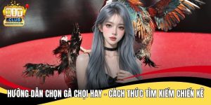 Hướng Dẫn Chọn Gà Chọi Hay