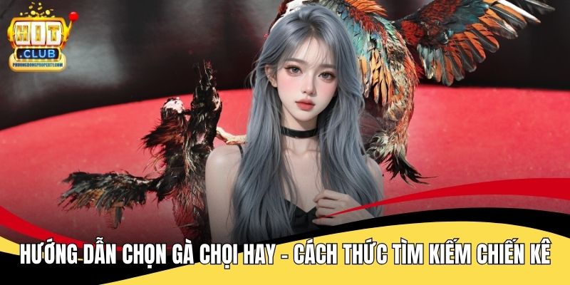 Hướng Dẫn Chọn Gà Chọi Hay
