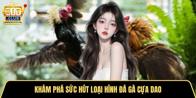 Khám phá sức hút loại hình đá gà cựa dao