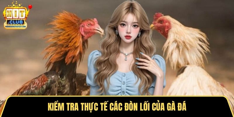 Kiểm tra thực tế các đòn lối của gà đá