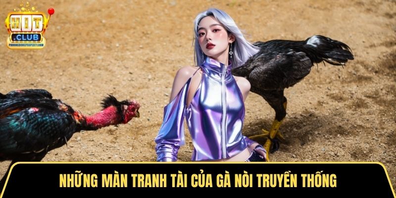 Những màn tranh tài của gà nòi truyền thống
