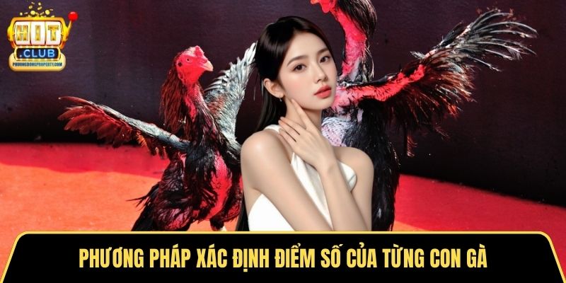 Phương pháp xác định điểm số của từng con gà