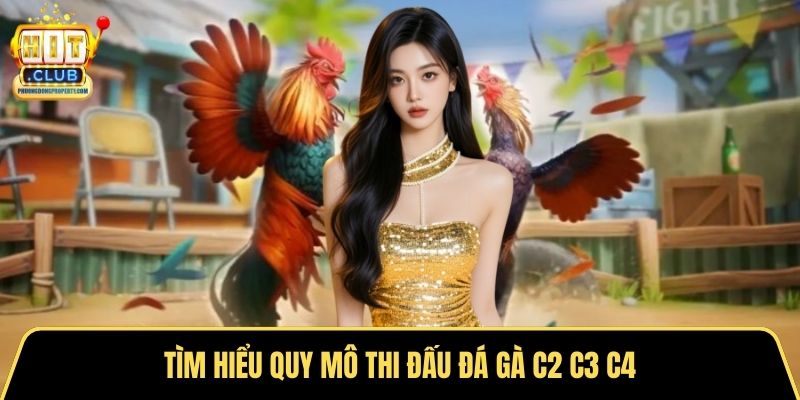 Tìm hiểu quy mô thi đấu đá gà c2 c3 c4