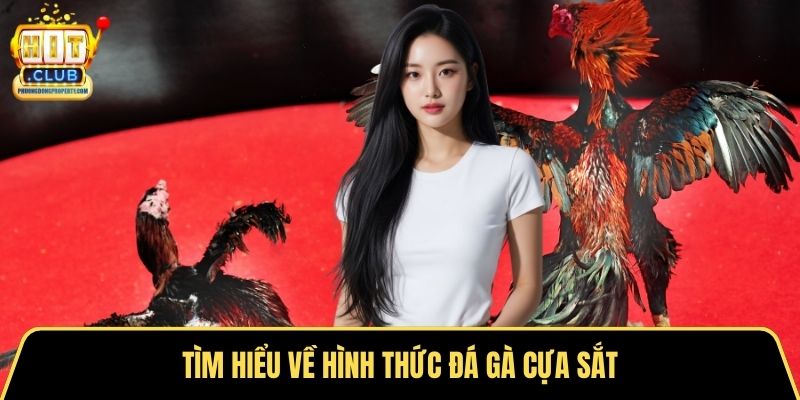 Tìm hiểu về hình thức đá gà cựa sắt