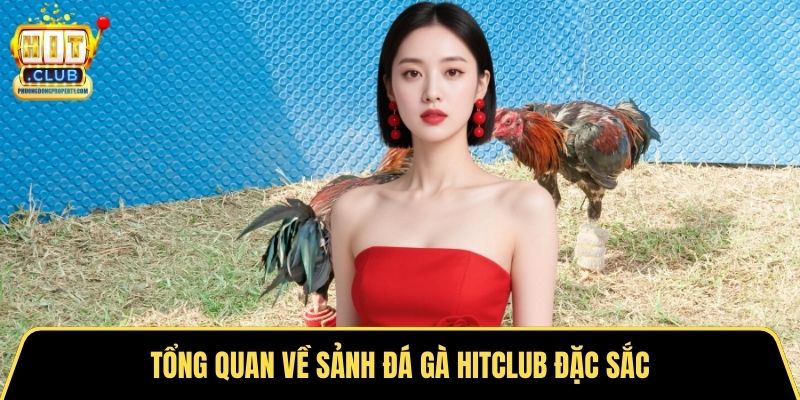 Tổng quan về sảnh đá gà Hitclub đặc sắc